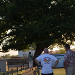 OTRA2014CN_0113 (August 25, 2014)